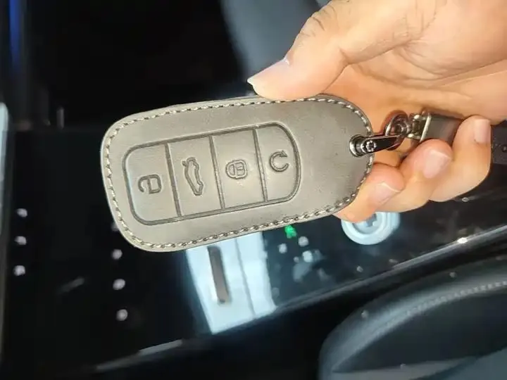 Ruihu 8 PLUS 2022 290TGDI DCT Pride Edition 9