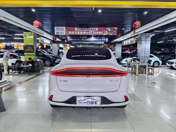 IM LS6 2023 Max Standard Edition 7