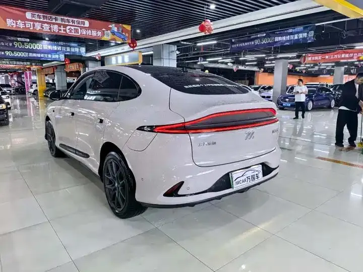 IM LS6 2023 Max Standard Edition 9