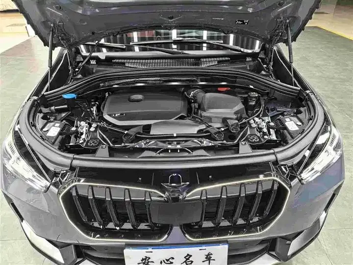 BMW X1 2023 xDrive25Li X Design Set 22