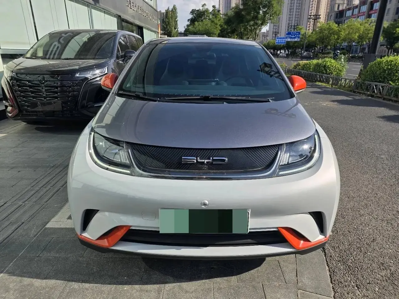 Dolphin 2021 405km Free Edition 2