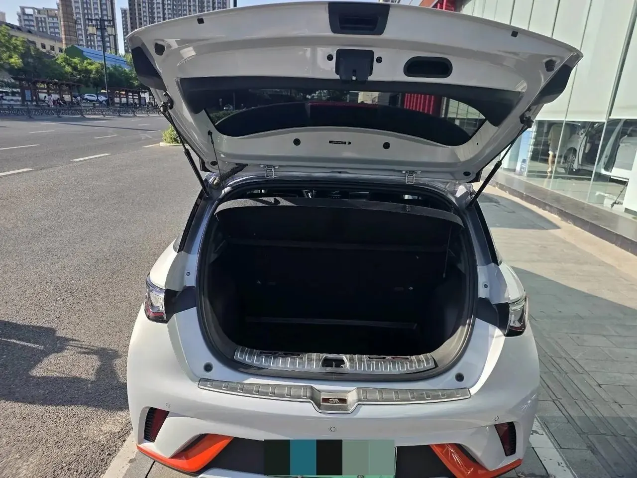 Dolphin 2021 405km Free Edition 5