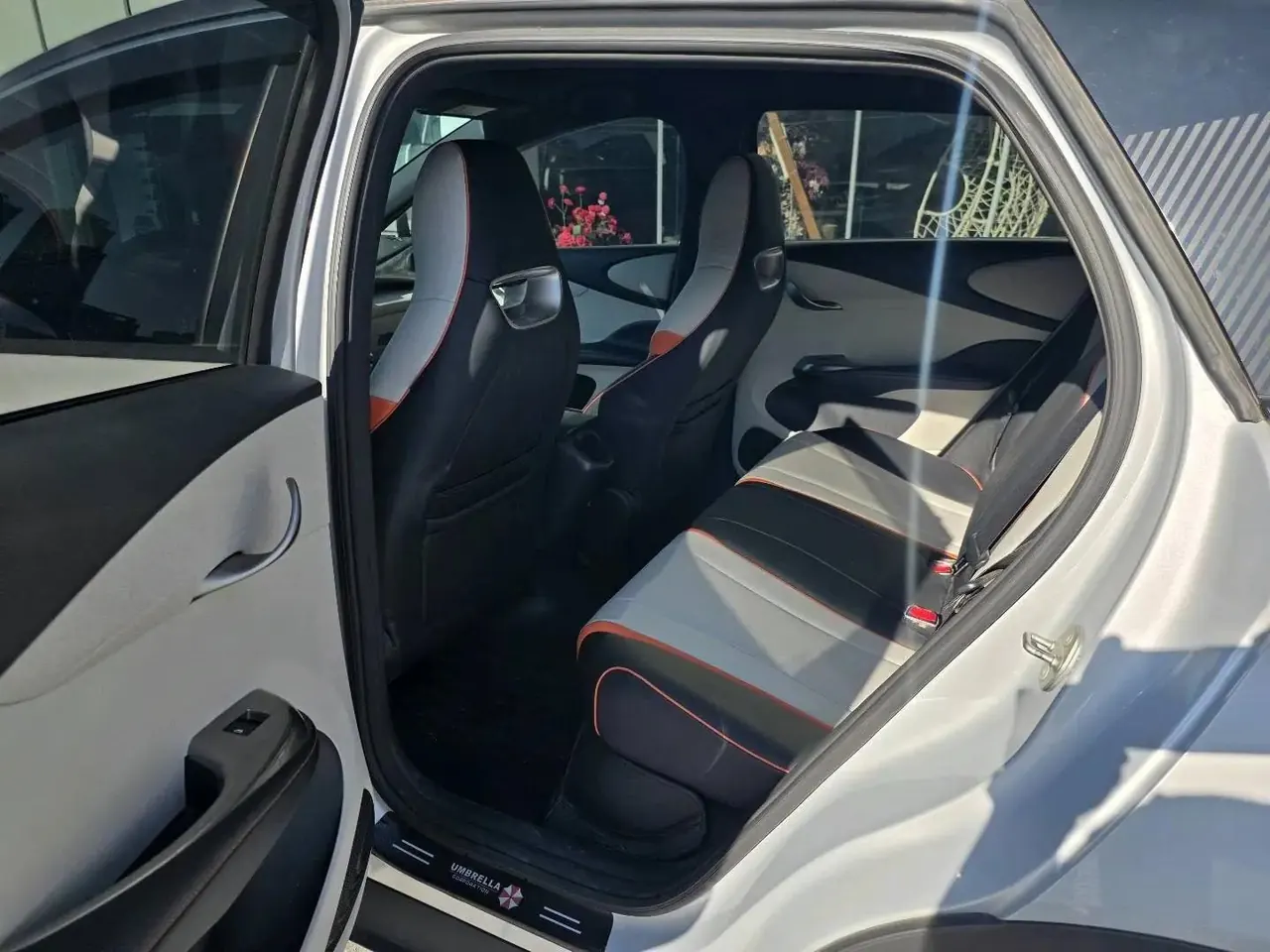 Dolphin 2021 405km Free Edition 8