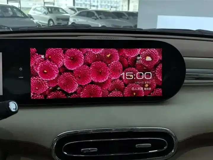 Ora Ballet Cat 2023 401km Honorable Model 13