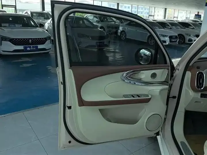 Ora Ballet Cat 2023 401km Honorable Model 7