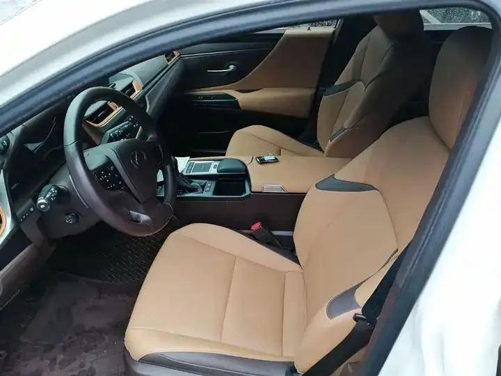 Lexus ES 2020 300h Excellent Edition National V 2