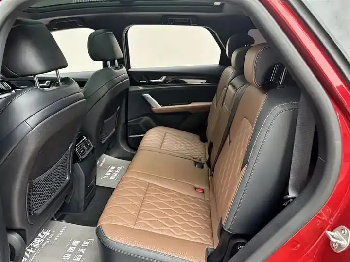 Tang New Energy 2021 DM-i 112KM Honorable Model 12