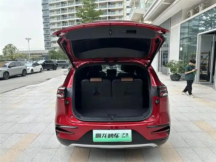 Tang New Energy 2021 DM-i 112KM Honorable Model 21