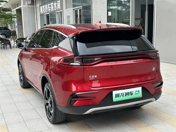 Tang New Energy 2021 DM-i 112KM Honorable Model 22