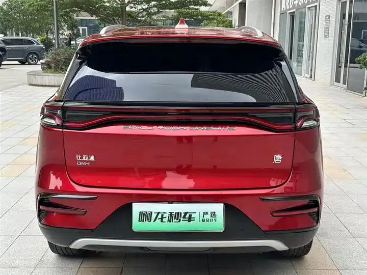 Tang New Energy 2021 DM-i 112KM Honorable Model 5