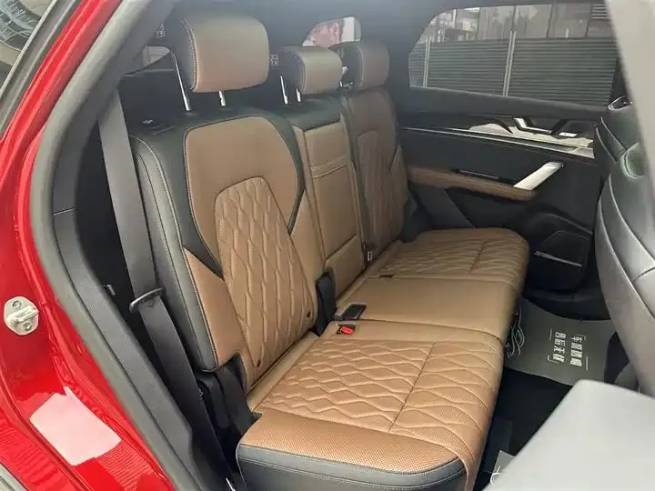 Tang New Energy 2021 DM-i 112KM Honorable Model 8