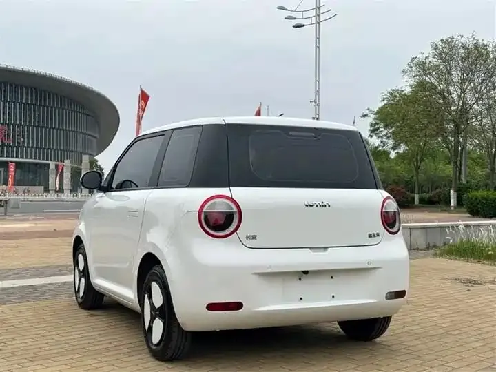 ChangAn Lumin 2022 210km sweet 6