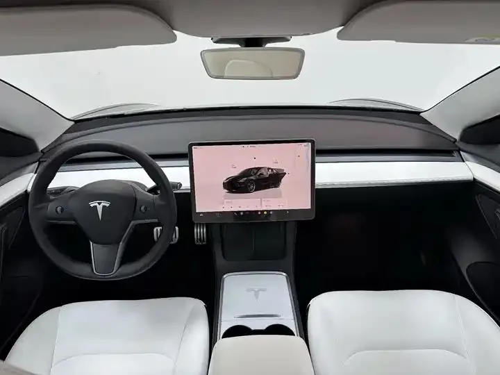 Model 3 2022 Performance high-performance all-wheel drive 6