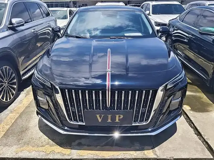 HongQi H5 2025 1.5T DCT Flag Yue Edition 2