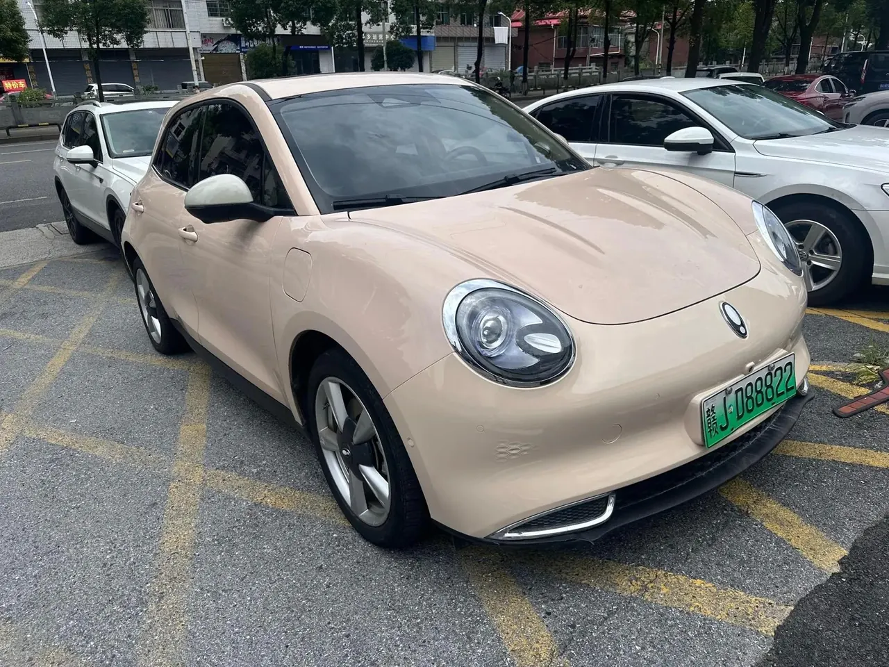 Ora Good Cat 2021 500km Long Endurance Poseidon Edition Ternary Lithium 2