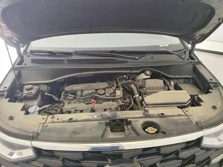 Custin 2021 270TGDi Prestige LUX 10