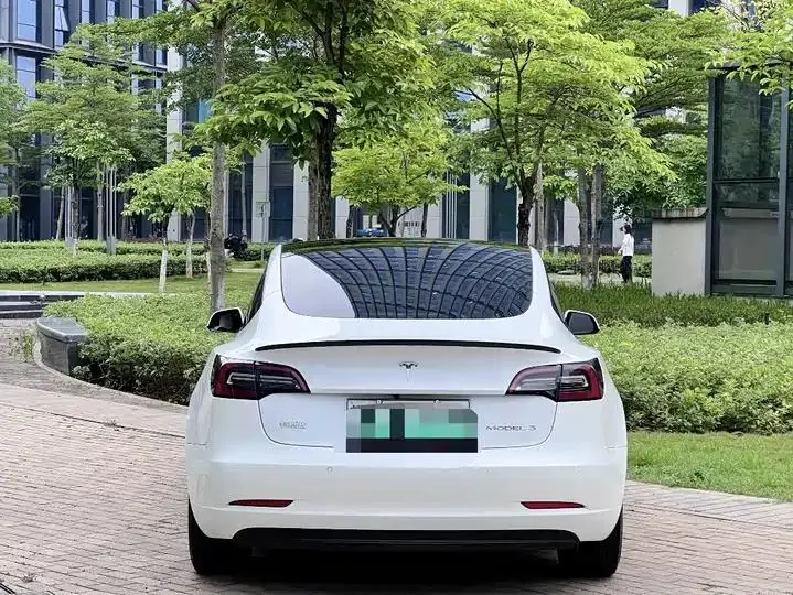 2021 Model 3 Standard Range Rear-Wheel Drive Upgrade Version 10