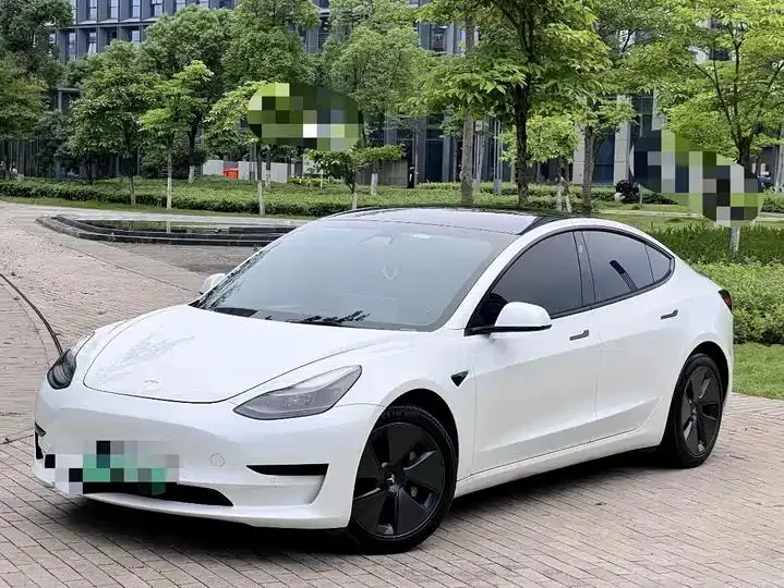 2021 Model 3 Standard Range Rear-Wheel Drive Upgrade Version 12