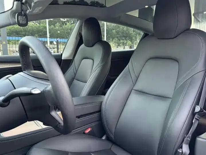 2021 Model 3 Standard Range Rear-Wheel Drive Upgrade Version 15