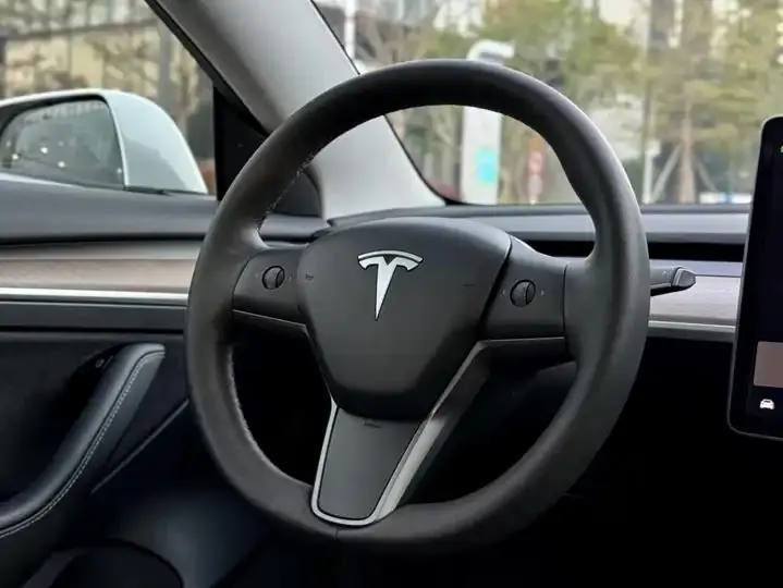 2021 Model 3 Standard Range Rear-Wheel Drive Upgrade Version 17