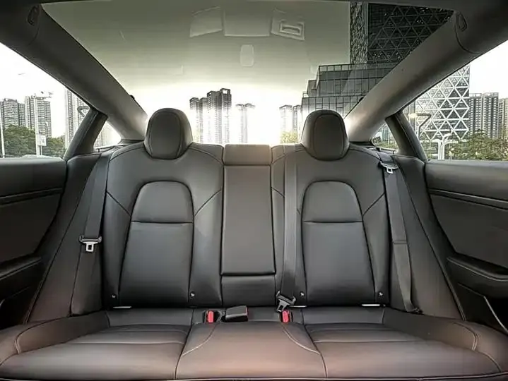 2021 Model 3 Standard Range Rear-Wheel Drive Upgrade Version 18