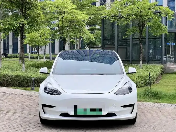 2021 Model 3 Standard Range Rear-Wheel Drive Upgrade Version 2