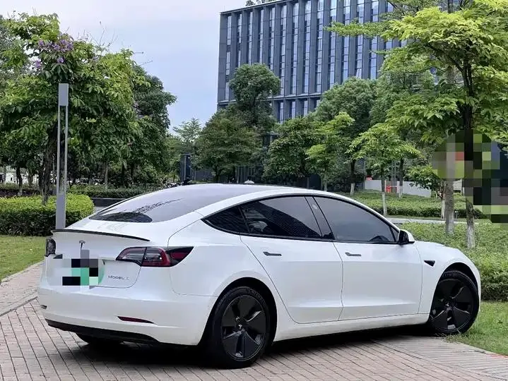 2021 Model 3 Standard Range Rear-Wheel Drive Upgrade Version 20
