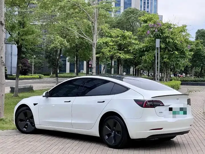 2021 Model 3 Standard Range Rear-Wheel Drive Upgrade Version 22