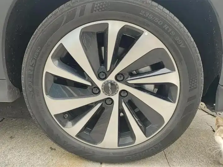 2023 Song PLUS DM-i 110KM Flagship PLUS – Champion Edition 6