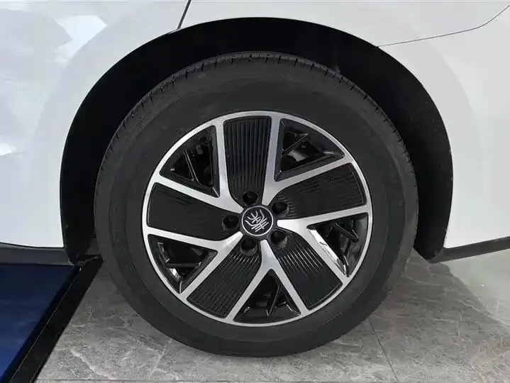 Qin L 2024 DM-i 120KM Exceed 6