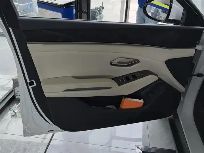 Qin L 2024 DM-i 120KM Exceed 7