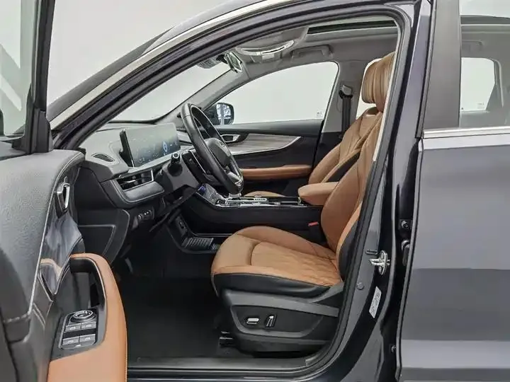 Ruihu 8 PLUS 2021 290TGDI DCT Premium Edition 10