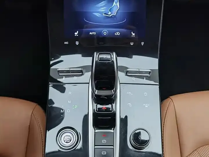 Ruihu 8 PLUS 2021 290TGDI DCT Premium Edition 13