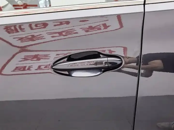 Ruihu 8 PLUS 2021 290TGDI DCT Premium Edition 18