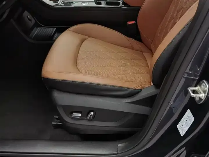 Ruihu 8 PLUS 2021 290TGDI DCT Premium Edition 20