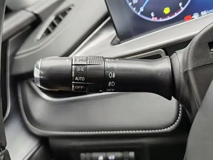 Ruihu 8 PLUS 2021 290TGDI DCT Premium Edition 21