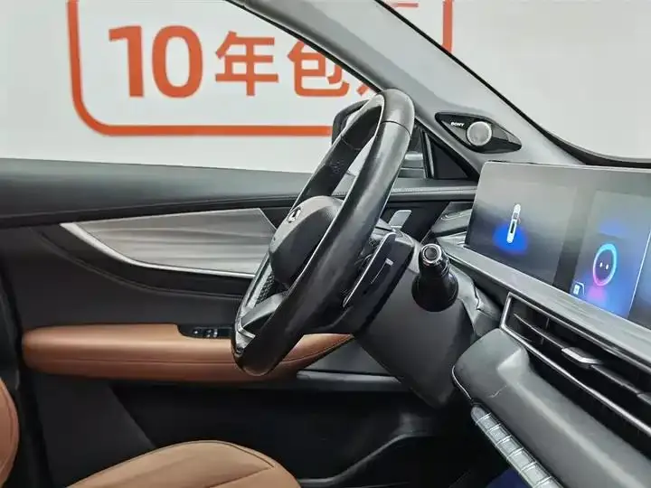 Ruihu 8 PLUS 2021 290TGDI DCT Premium Edition 22