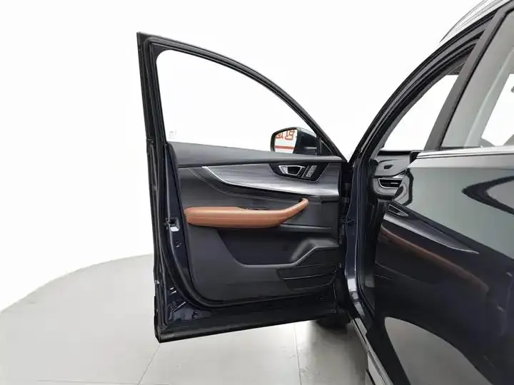 Ruihu 8 PLUS 2021 290TGDI DCT Premium Edition 8