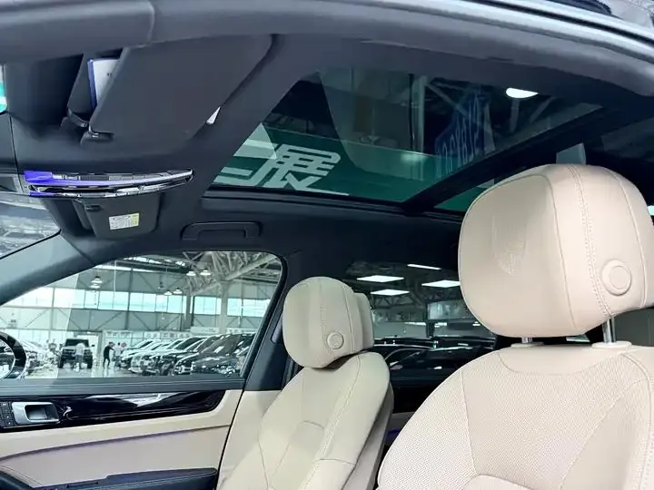 Cayenne New Energy 2022 Cayenne E-Hybrid 2.0T Platinum Edition 9