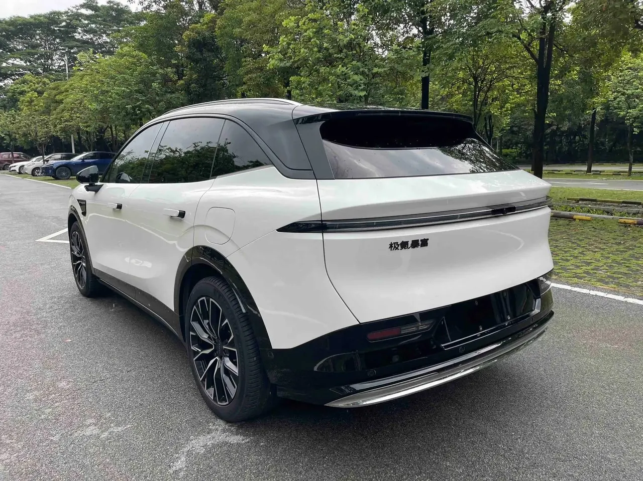 Zeekr 2025 Zeekr 7X 75kWh Rear-Wheel-Drive Intelligent Driving Edition Automatic 4