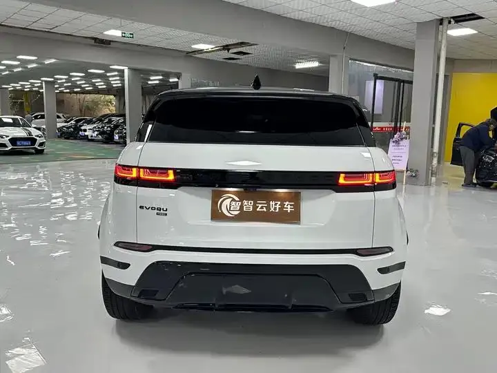 Range Rover Aurora 2023 Aurora L 249PS Deluxe Edition 8