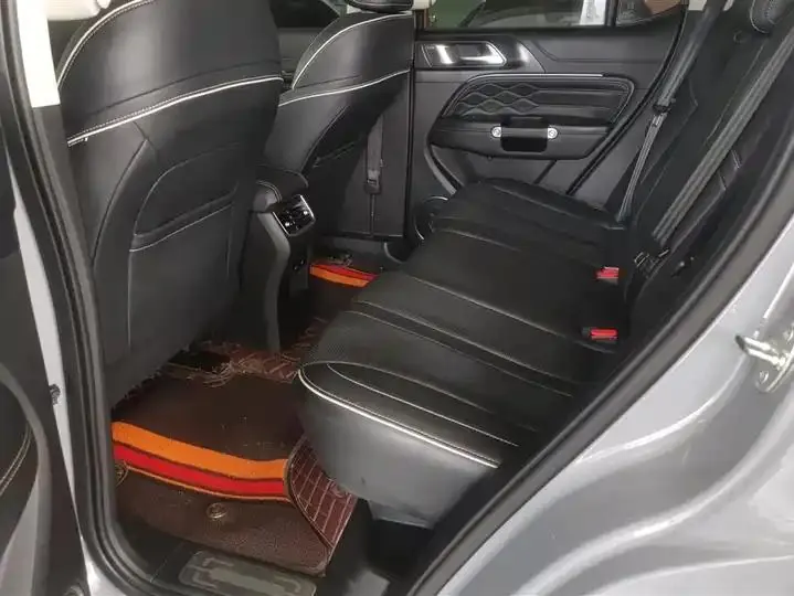 Tank 300 2023 Off-Road Edition 2.0T Conqueror 11