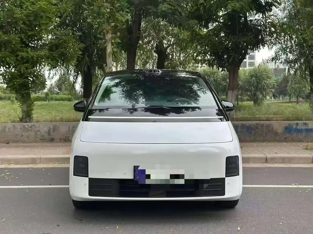 Li MEGA 2024 Ultra 2