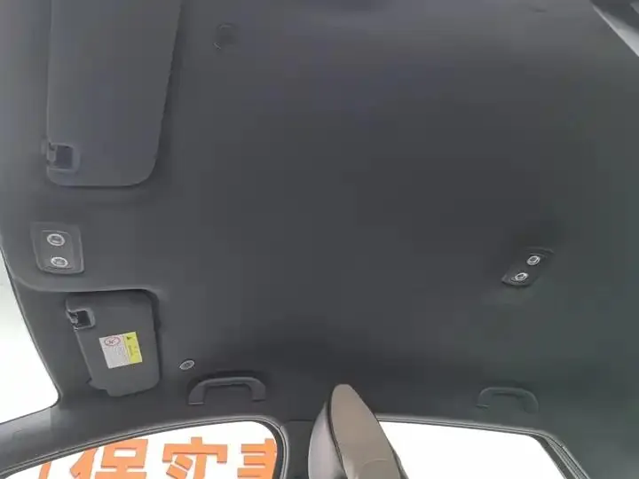 Dolphin 2023 420km Free Edition 14