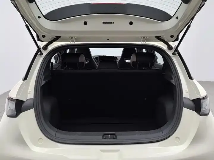 Dolphin 2023 420km Free Edition 16