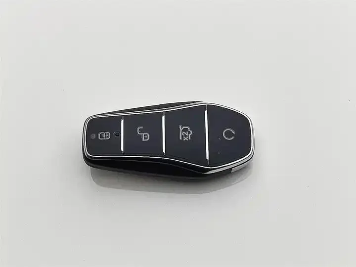 Dolphin 2023 420km Free Edition 19