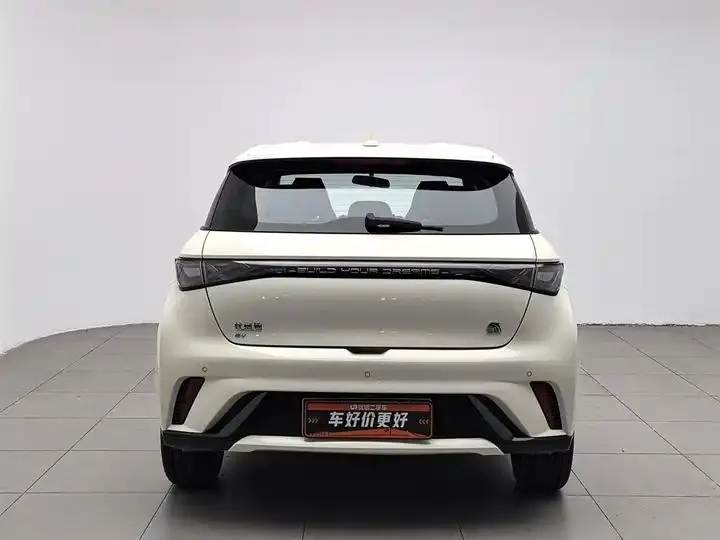 Dolphin 2023 420km Free Edition 4