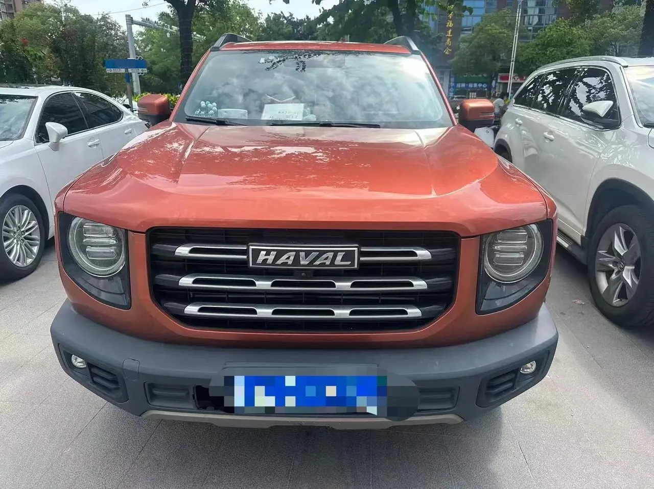 Haval Big Dog 2021 1.5T DCT Two-Drive Labrador Edition 2