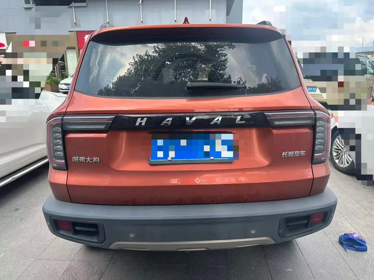 Haval Big Dog 2021 1.5T DCT Two-Drive Labrador Edition 5