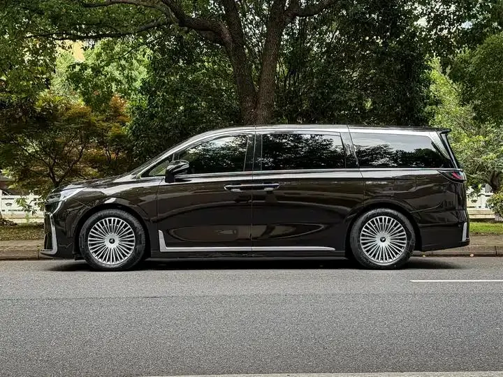 Voyah Dreamer 2025 PHEV Four-wheel Drive Flagship Kunpeng Edition 4